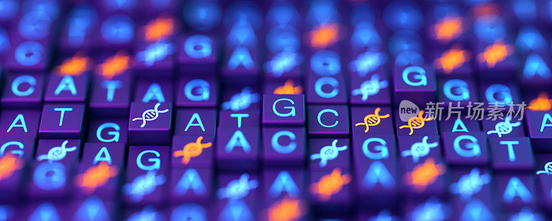 带有DNA链和测序ATGC数据背景的数字屏幕。双螺旋结构。核酸序列。遗传研究。3 d演示。